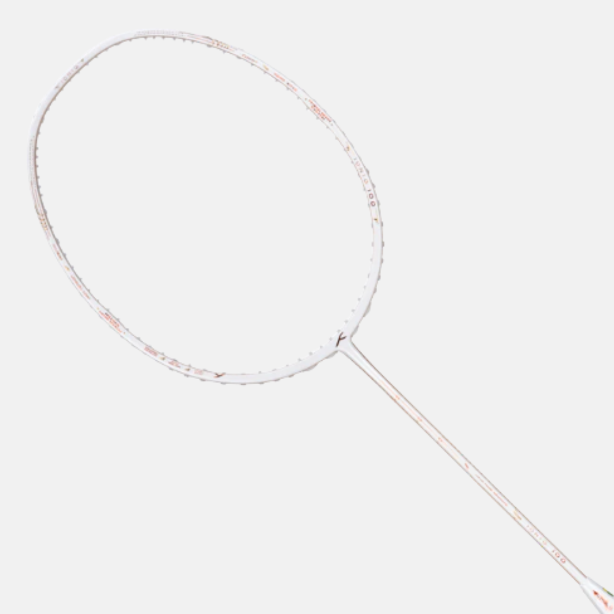 Ioniq 100 LTD