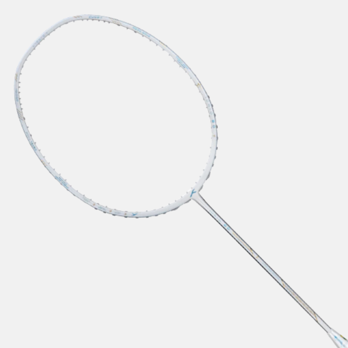 Ioniq 80