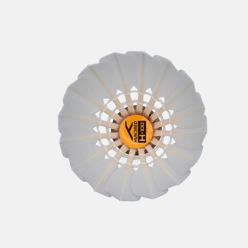 H+100 Feather Shuttlecock