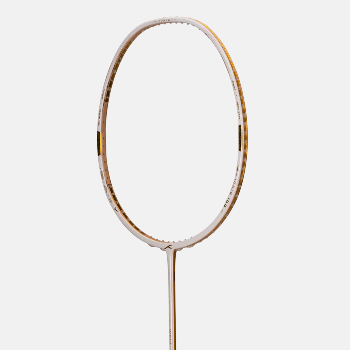 Ioniq 100 (Strung)