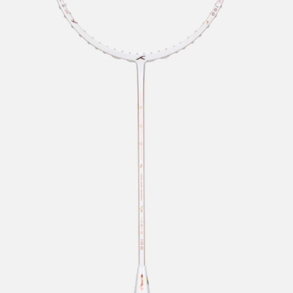 Ioniq 100 LTD