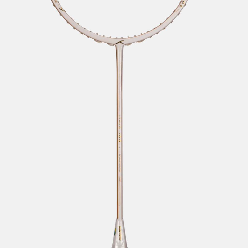 Ioniq 100 (Strung)